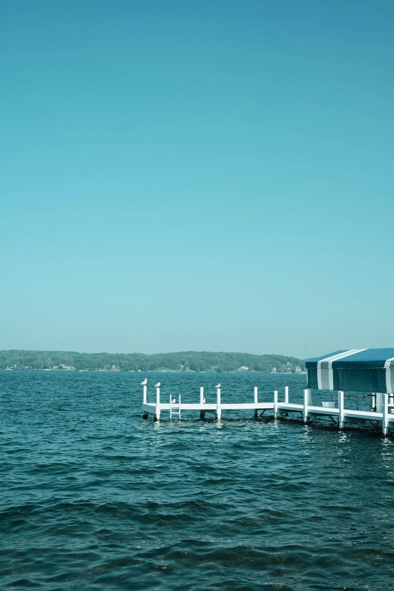 Lake Geneva Shore Path Photos-34.jpg