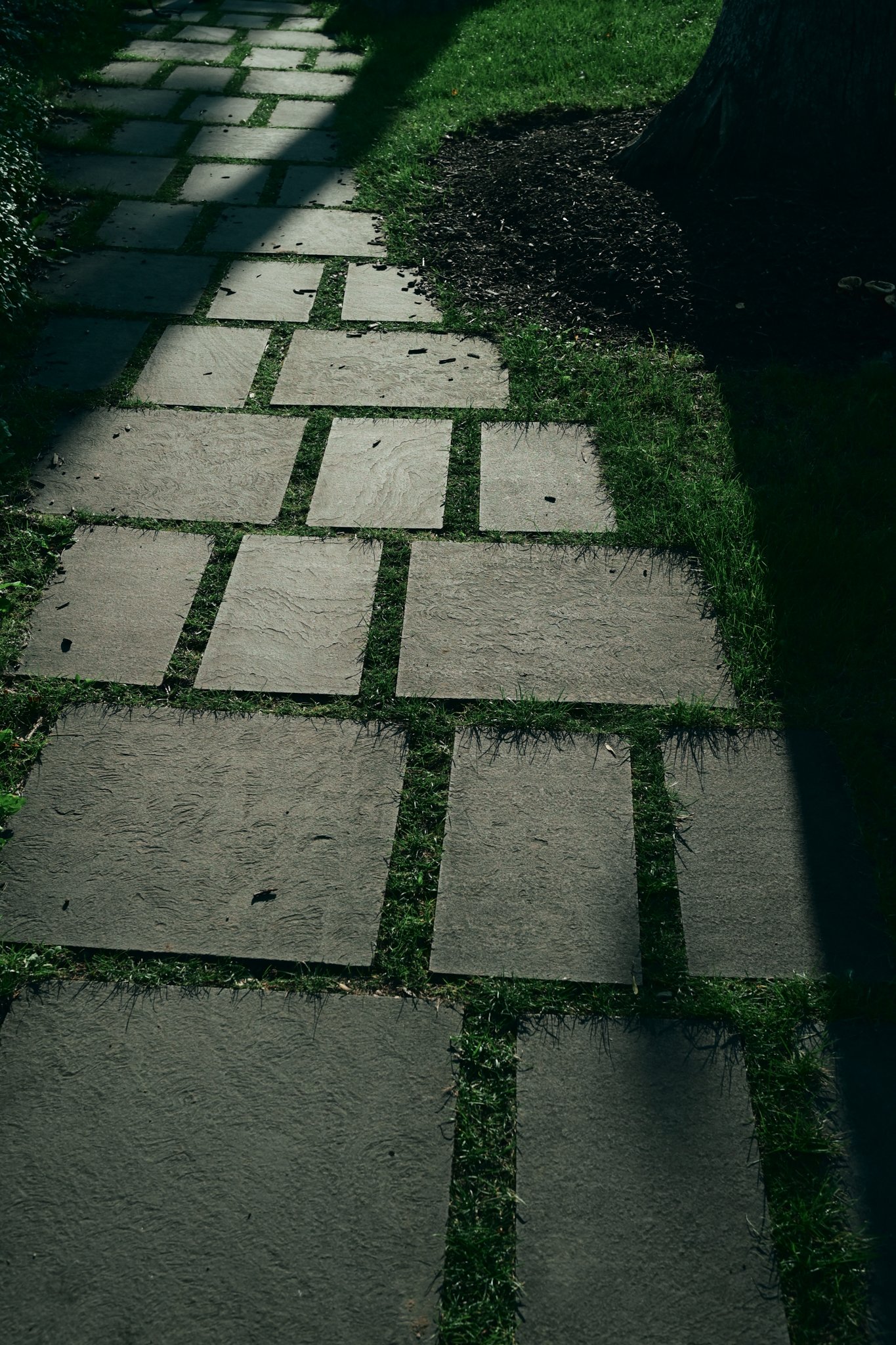 Lake Geneva Shore Path Photos-15.jpg