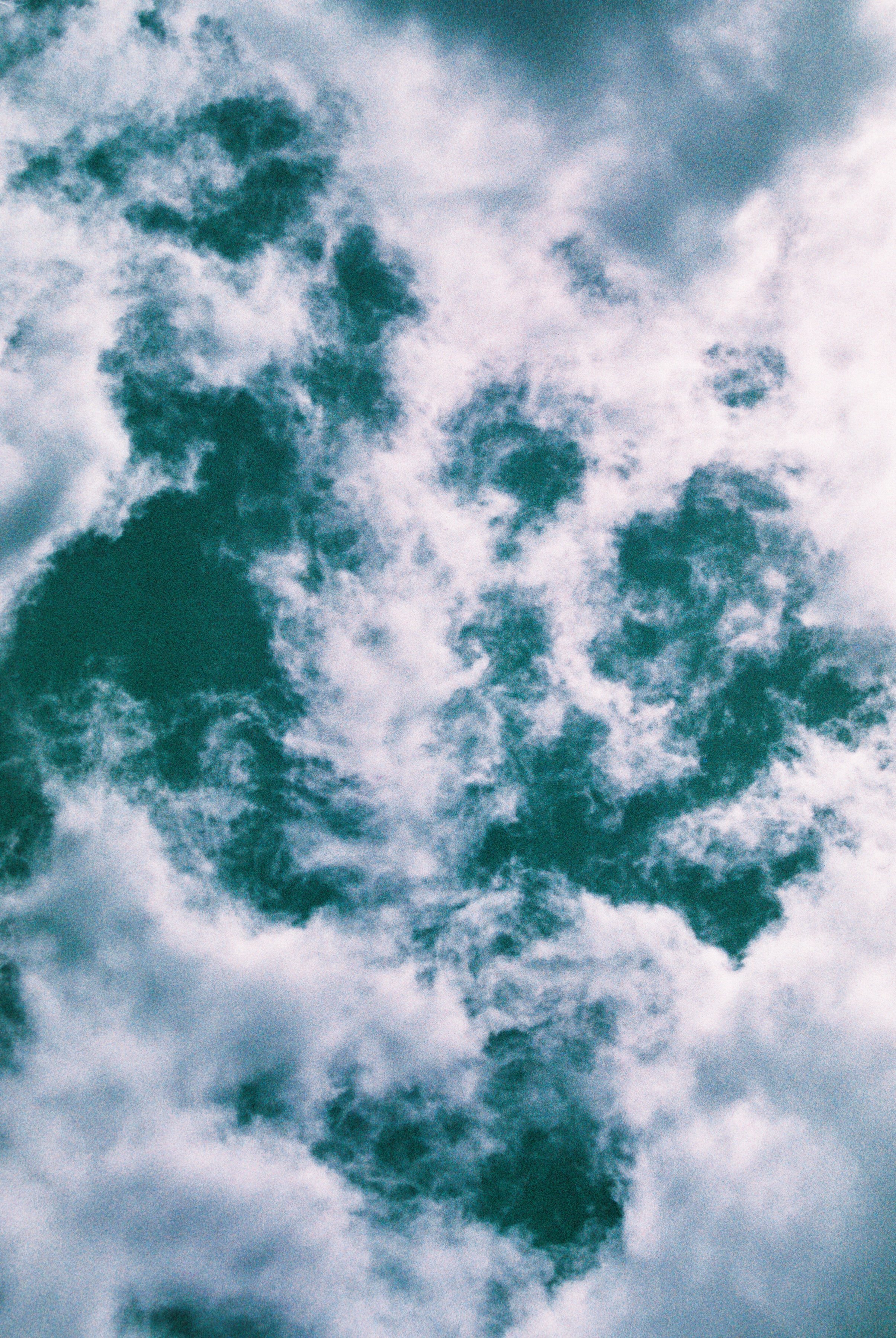 1774010760-R1-E031 (1).jpg