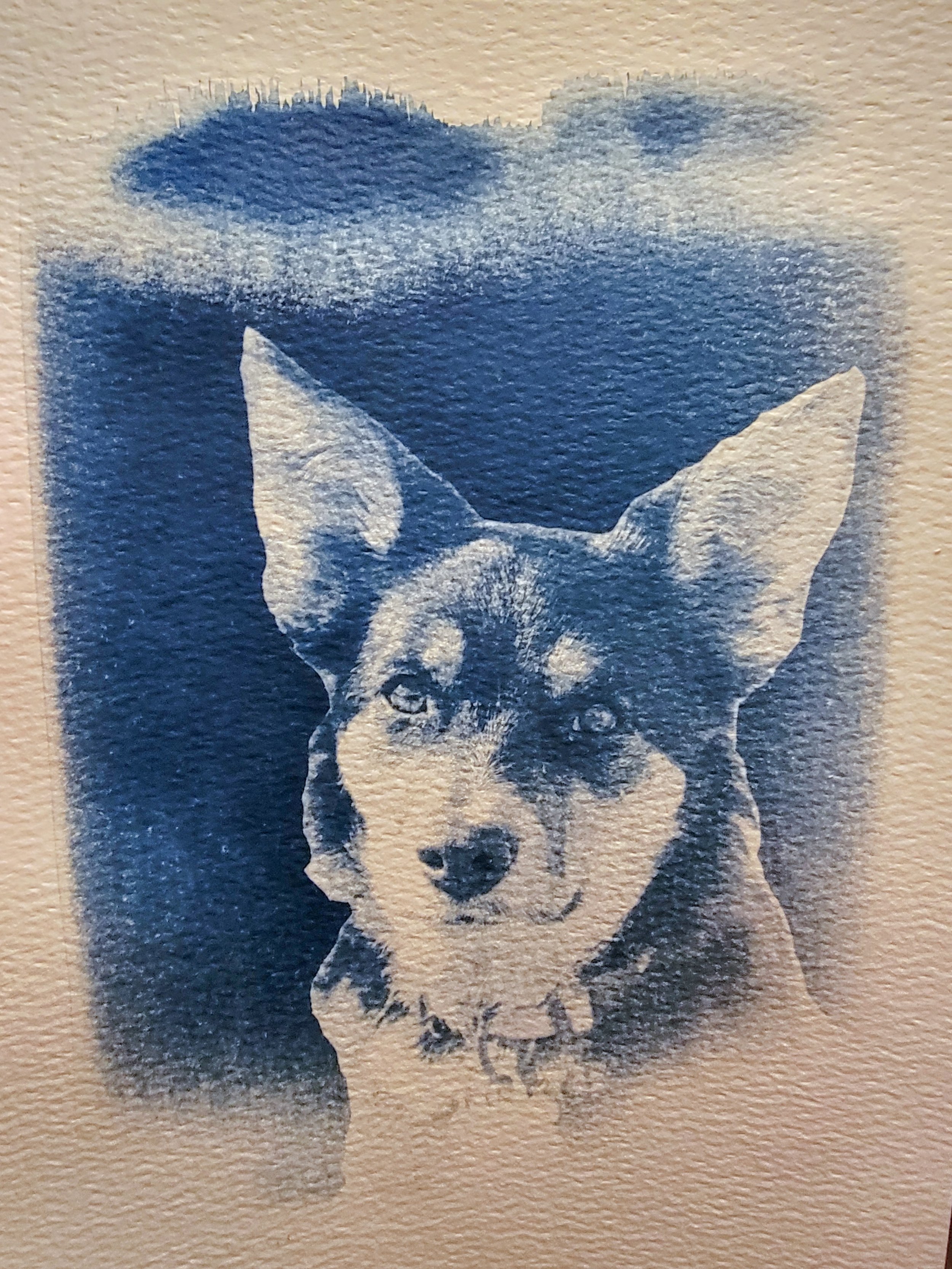 Custom Pet Portrait