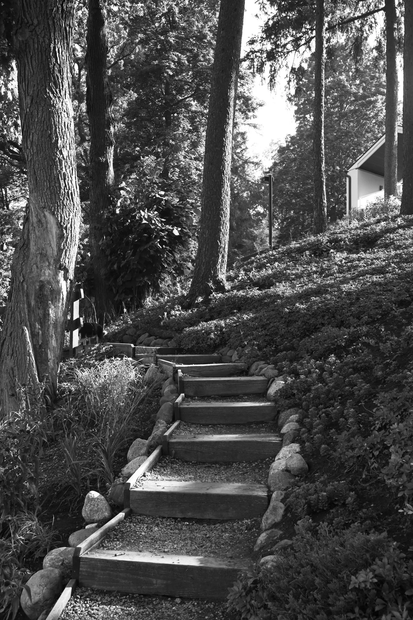 Lake Geneva Shore Path Photos-26.jpg