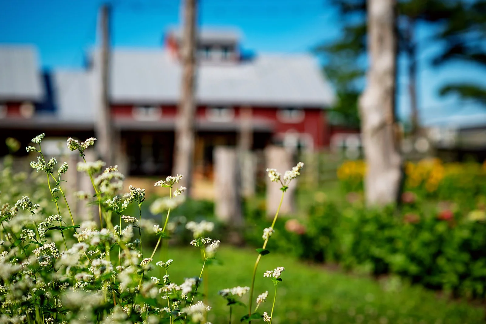 2026 - WoodsideFarms-05_websize.jpg