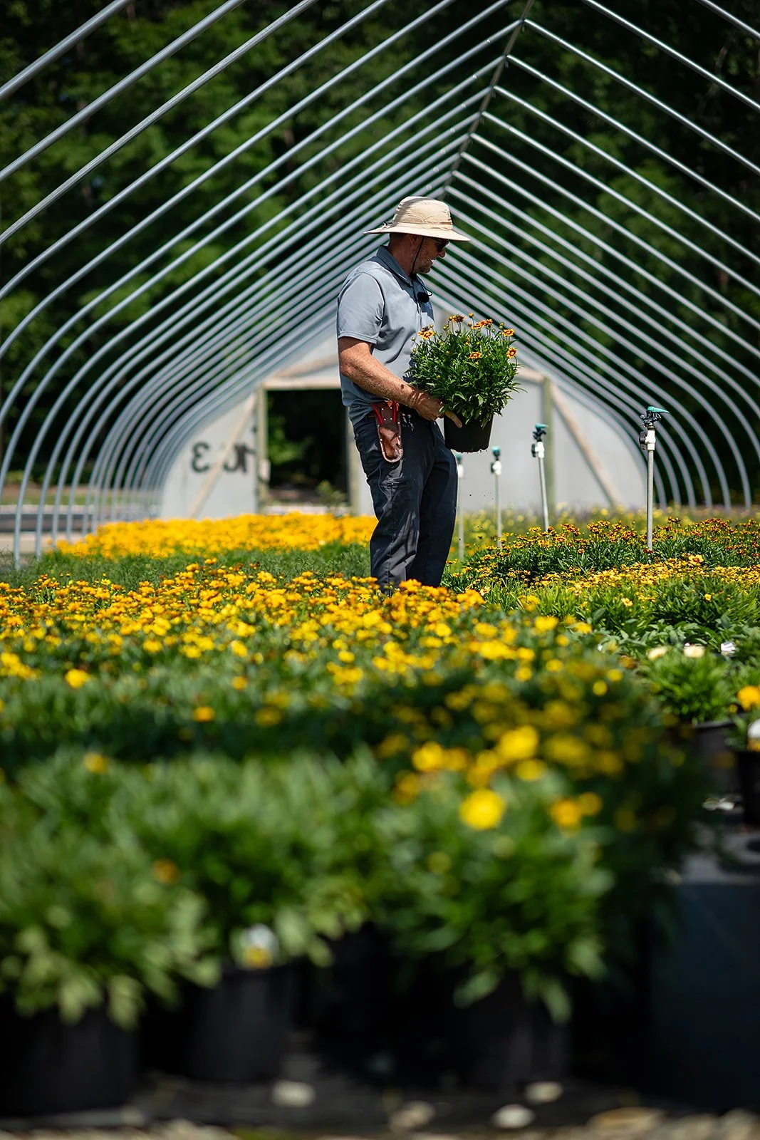 2026 - HanoverFarms-06_websize.jpg