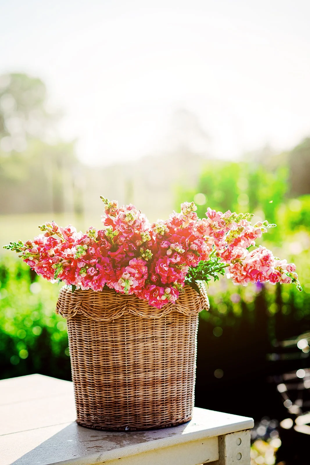 2026- BumbleandBloom-Brand-62B_websize.jpg