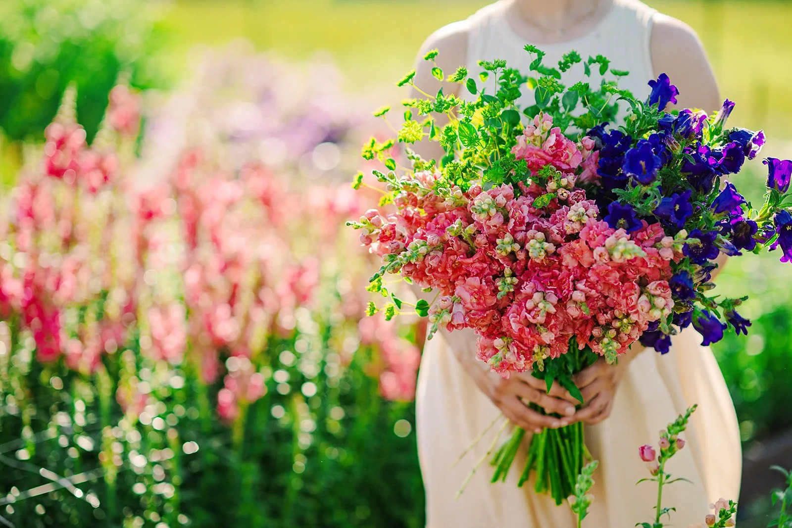 2026- BumbleandBloom-Brand-18_websize.jpg