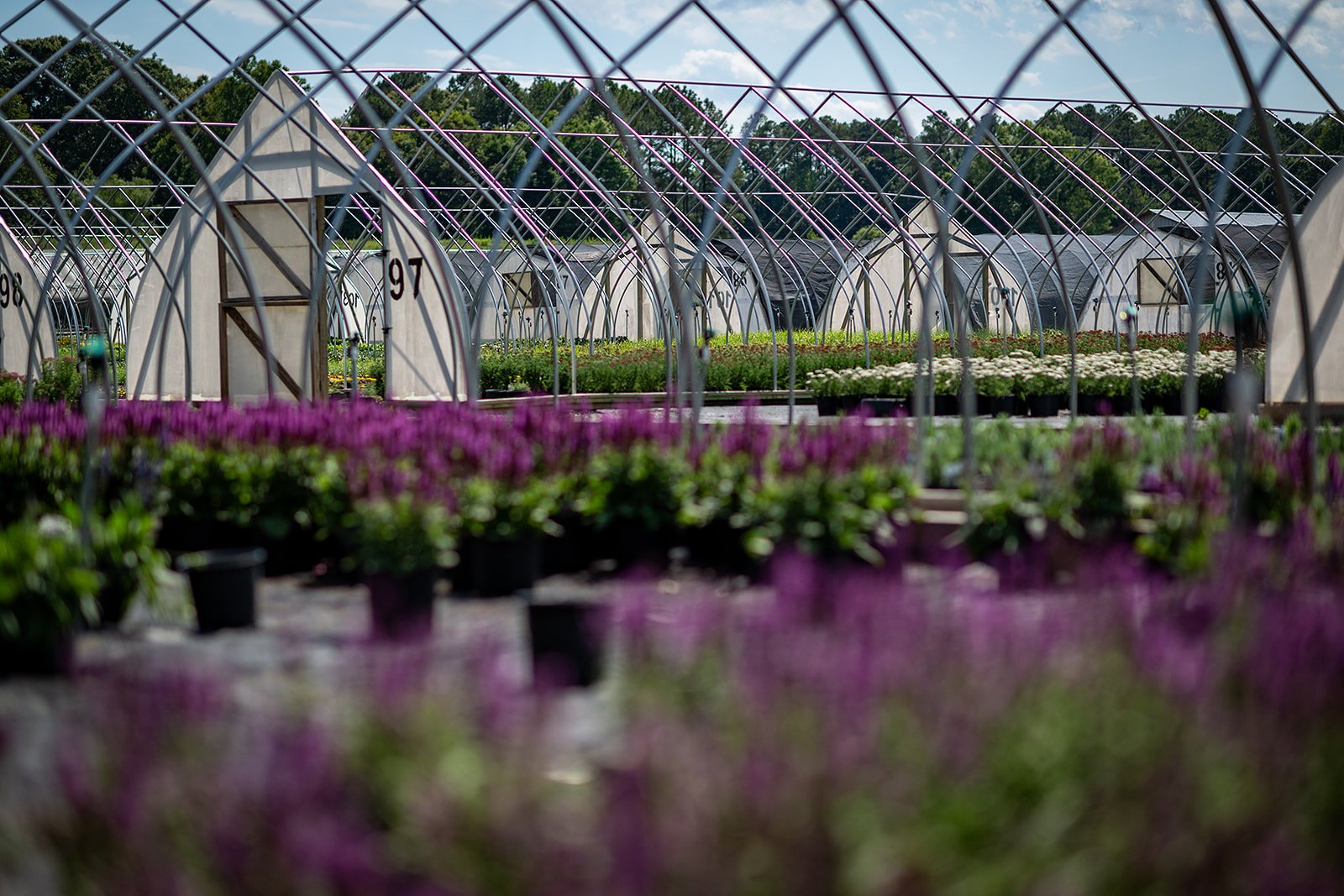 2026 - HanoverFarms-03_websize.jpg