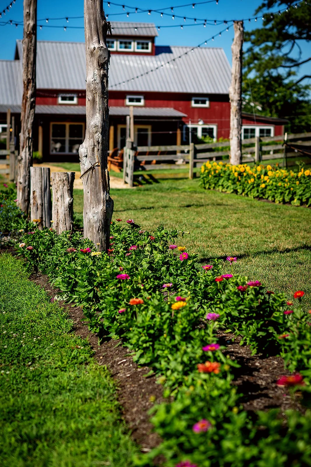 2026 - WoodsideFarms-06_websize.jpg