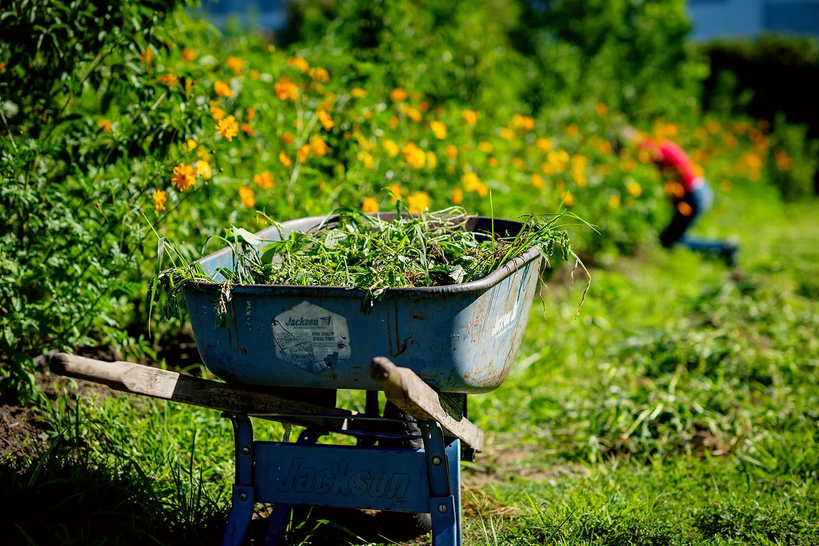 2026 - WoodsideFarms-04_websize.jpg