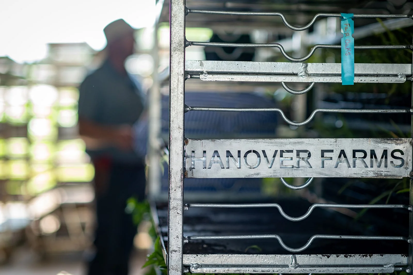 2026 - HanoverFarms-07_websize.jpg