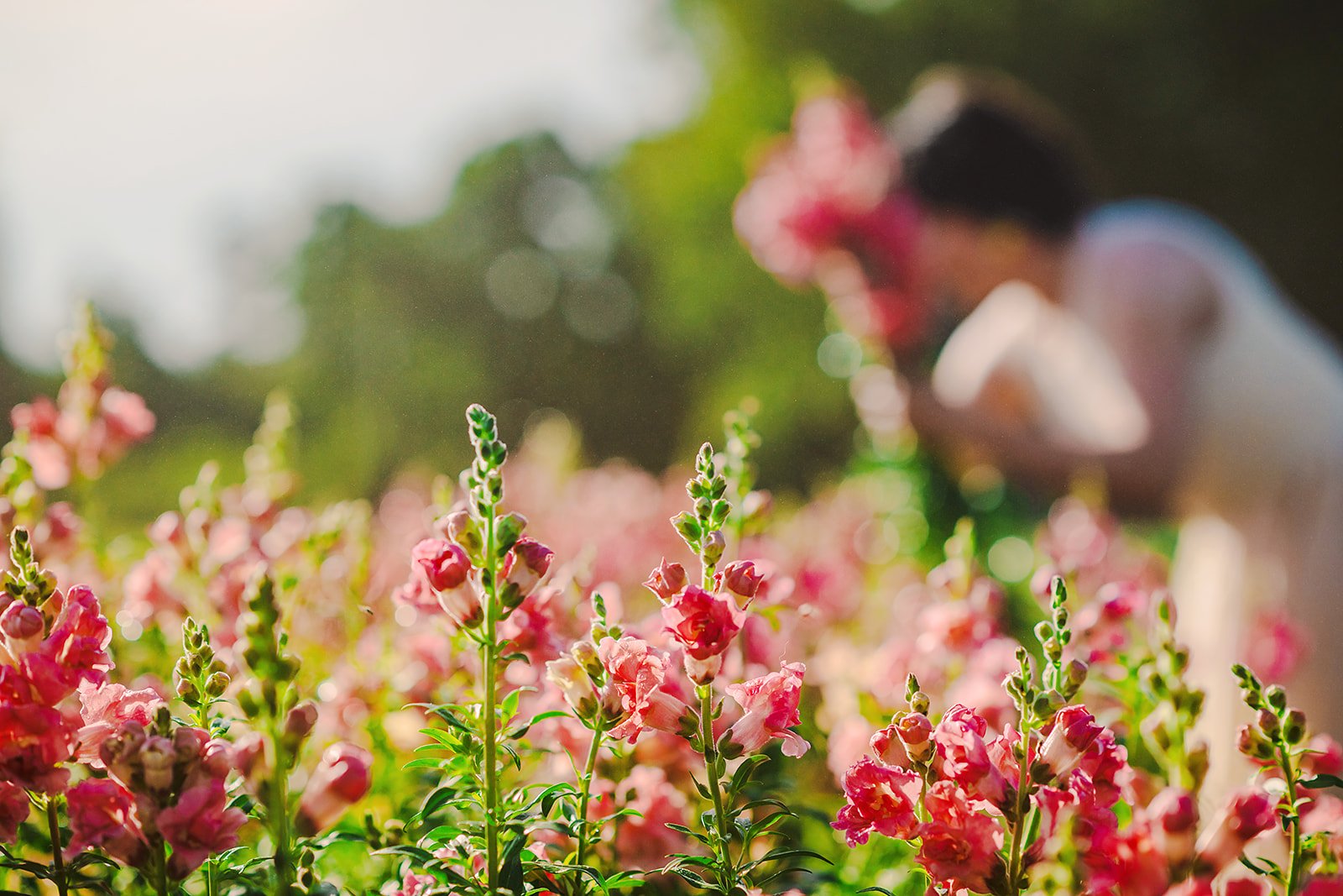 2026- BumbleandBloom-Brand-66_websize.jpg