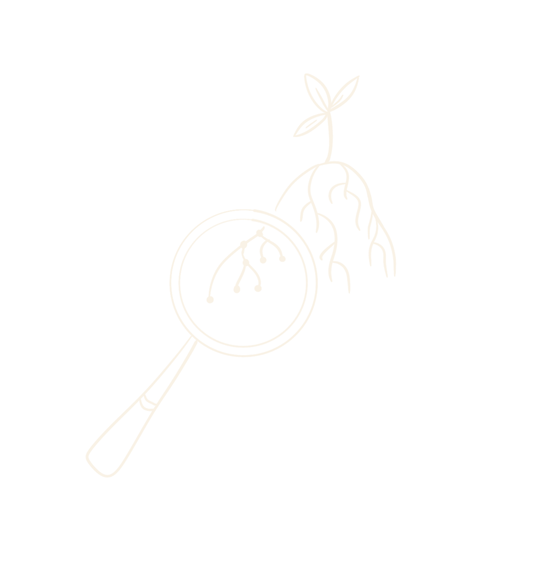 Hand drawn line art illustration of a magnifying glass looking at the roots of a plant to signify functional medicine