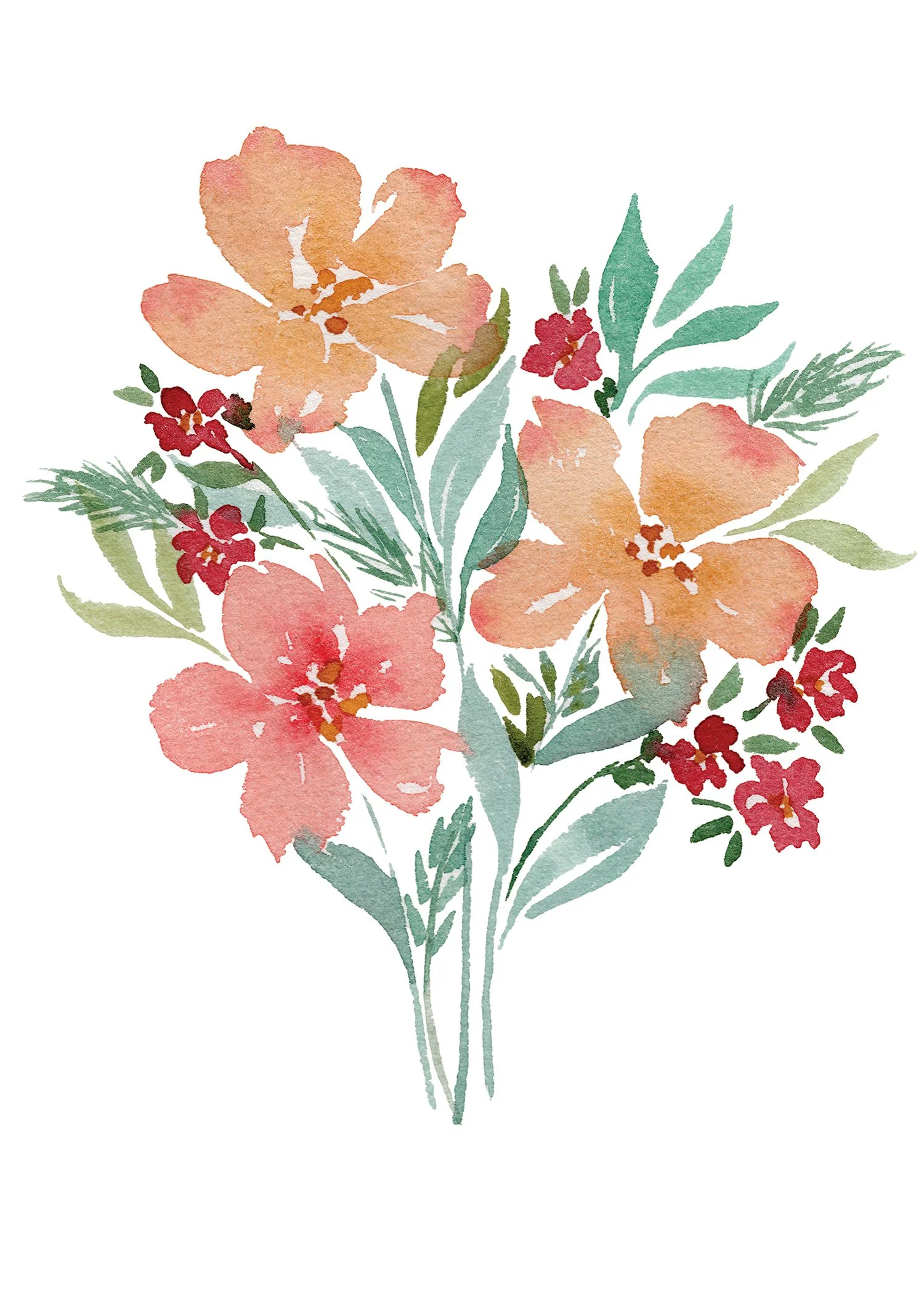 Cosmos cardisle.jpg