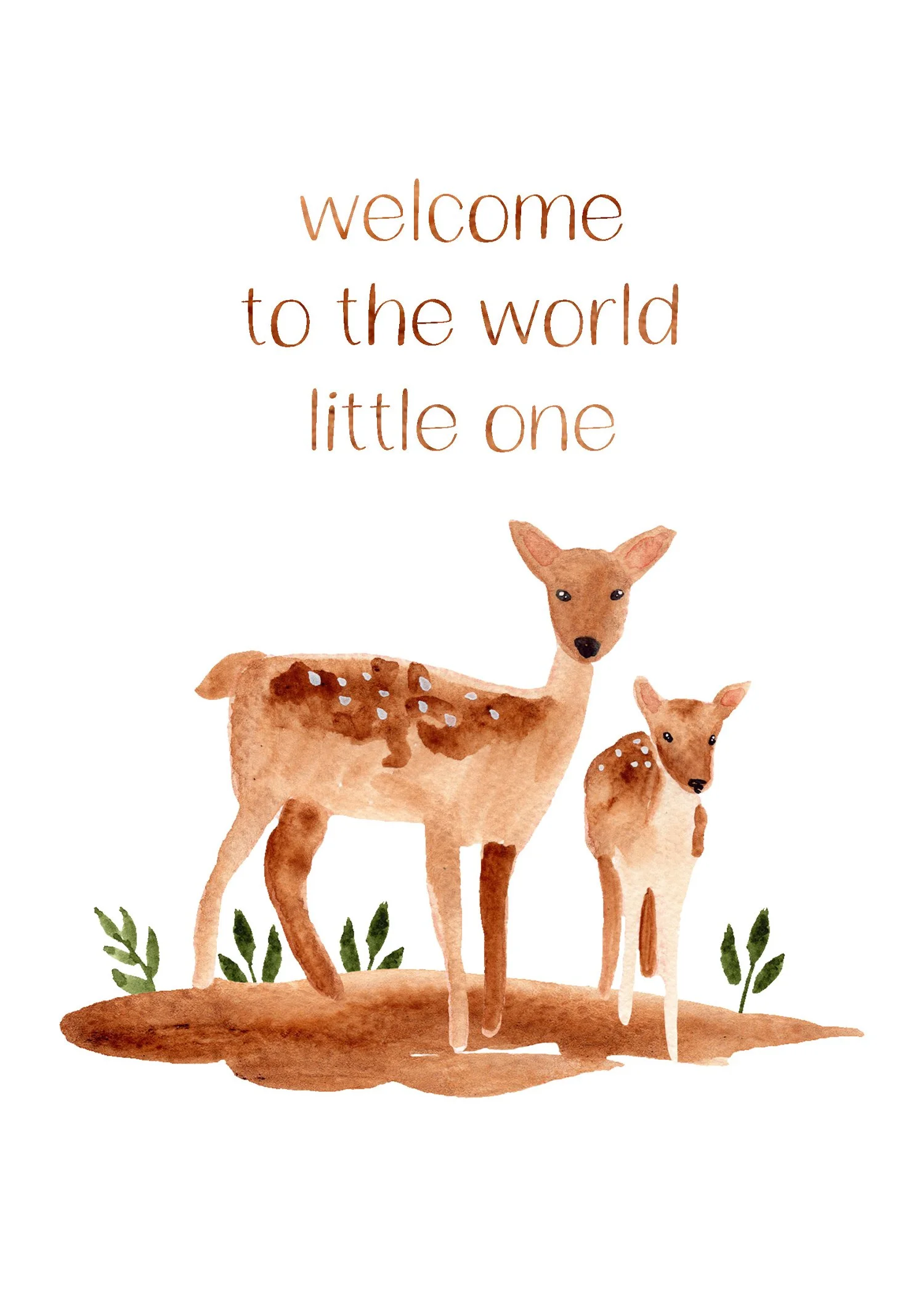 Welcome to the world deer cardisle.jpg
