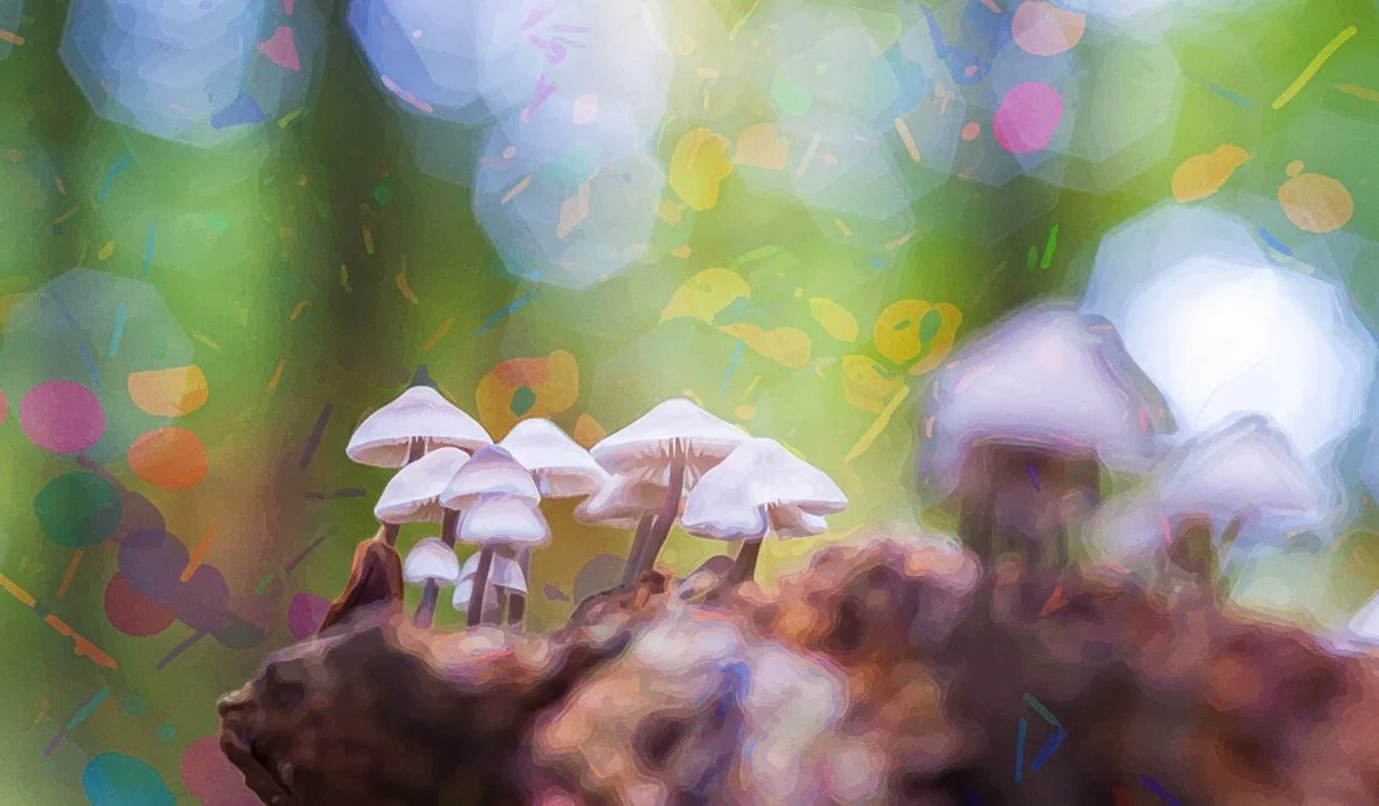 Psilocybin Therapy.jpg