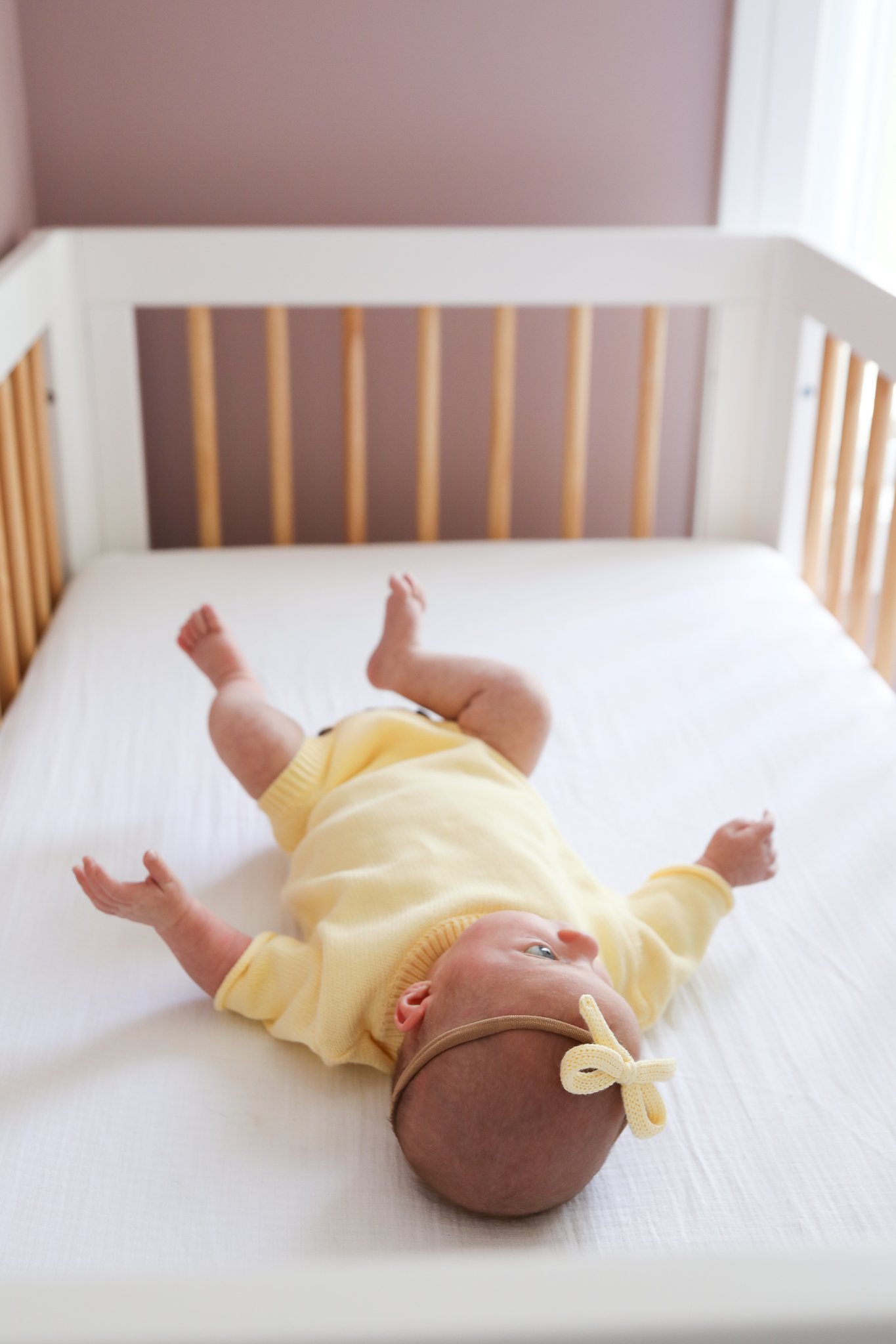 Chicago Newborn Photographer