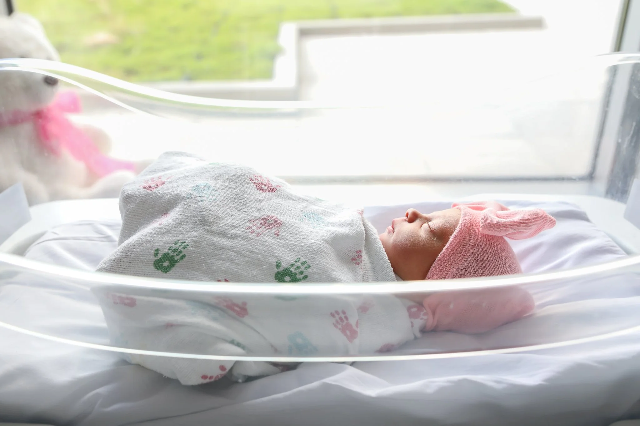 Chicago Newborn Photographer