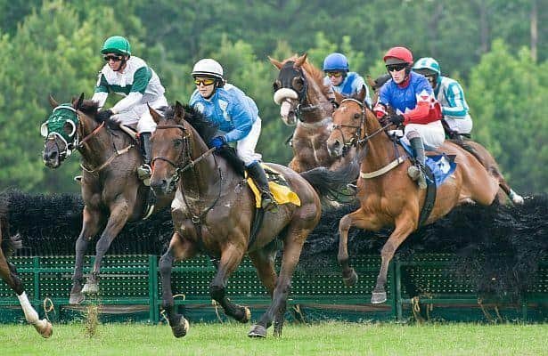 Running Your Business Is a Steeplechase, Not a Flat Race