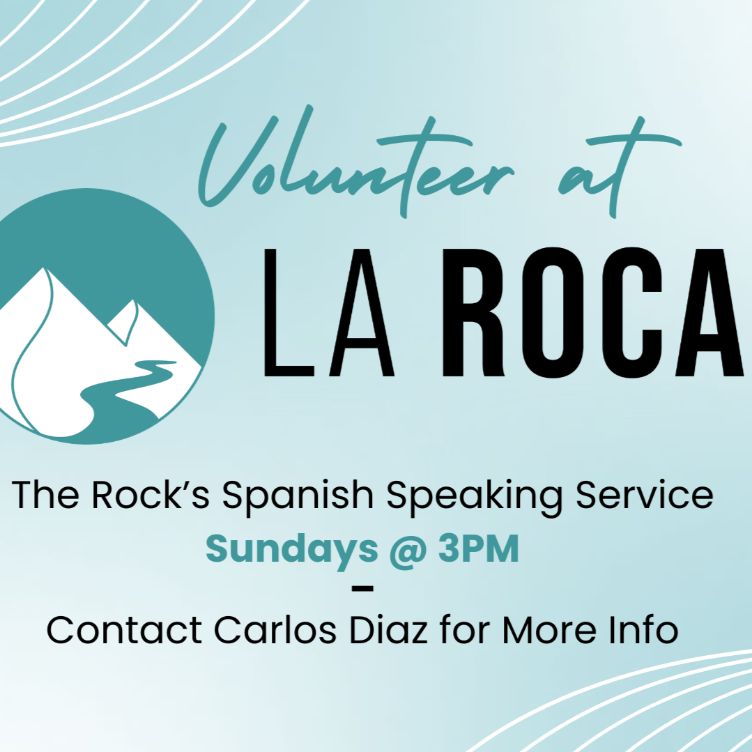 Volunteer at La Roca