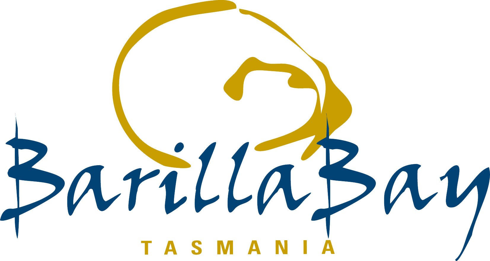 Hi Res logo- NO BACKGROUND.png