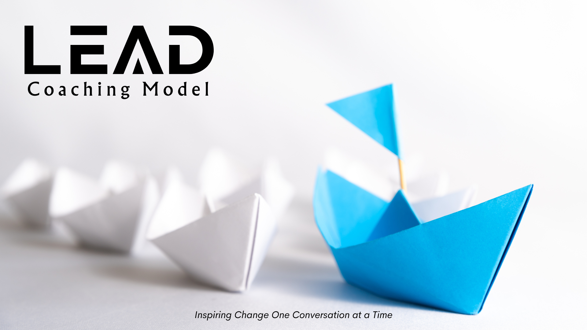 The LEAD Coaching Model : Co-Creating Leadership Excellence