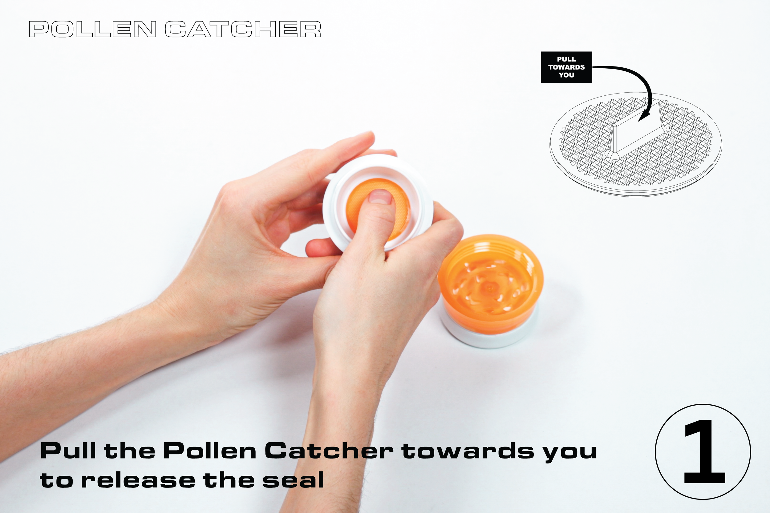 1 pollen-01.png
