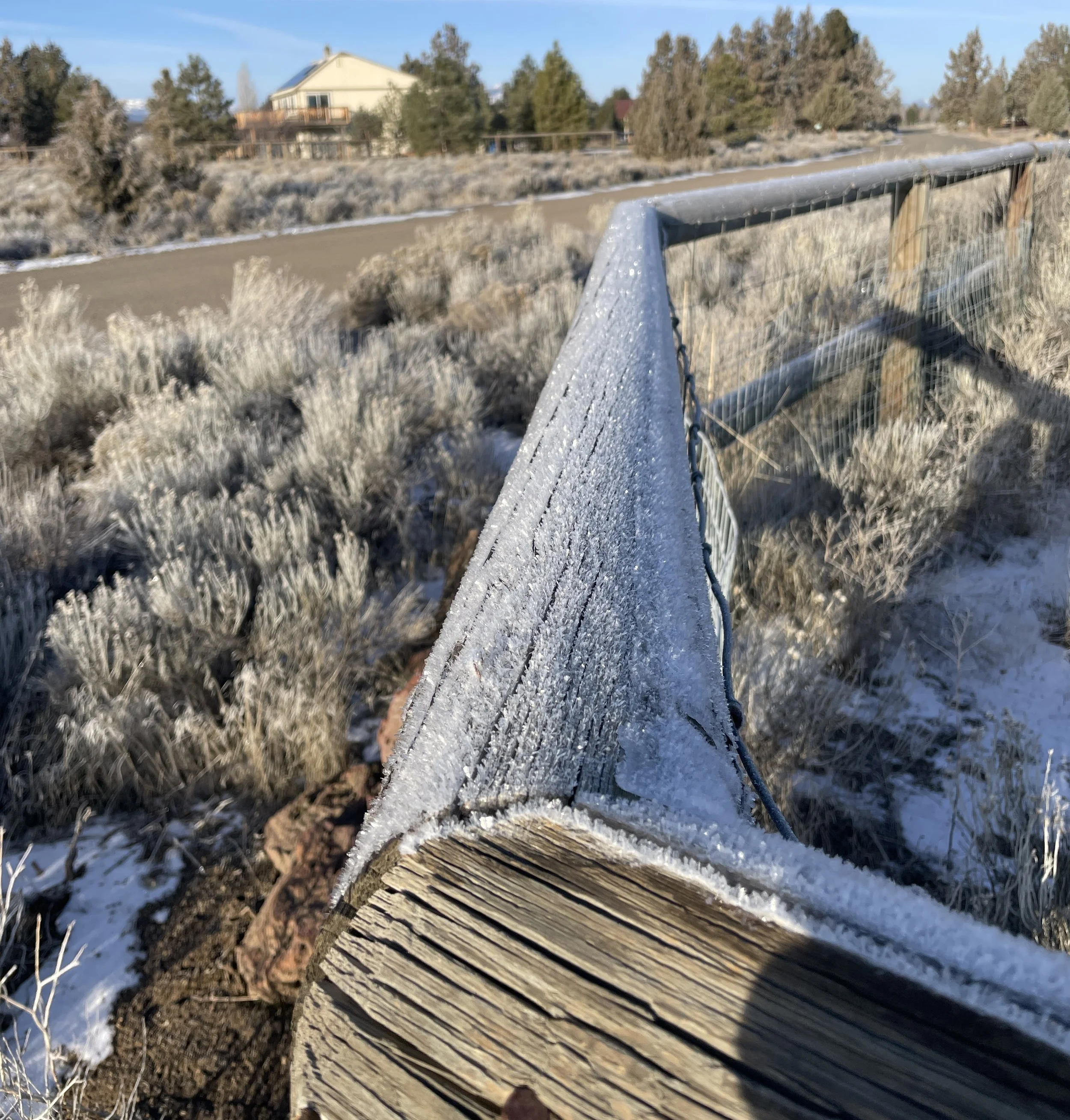 Frost on the fence at the front gate of Six Mountain View