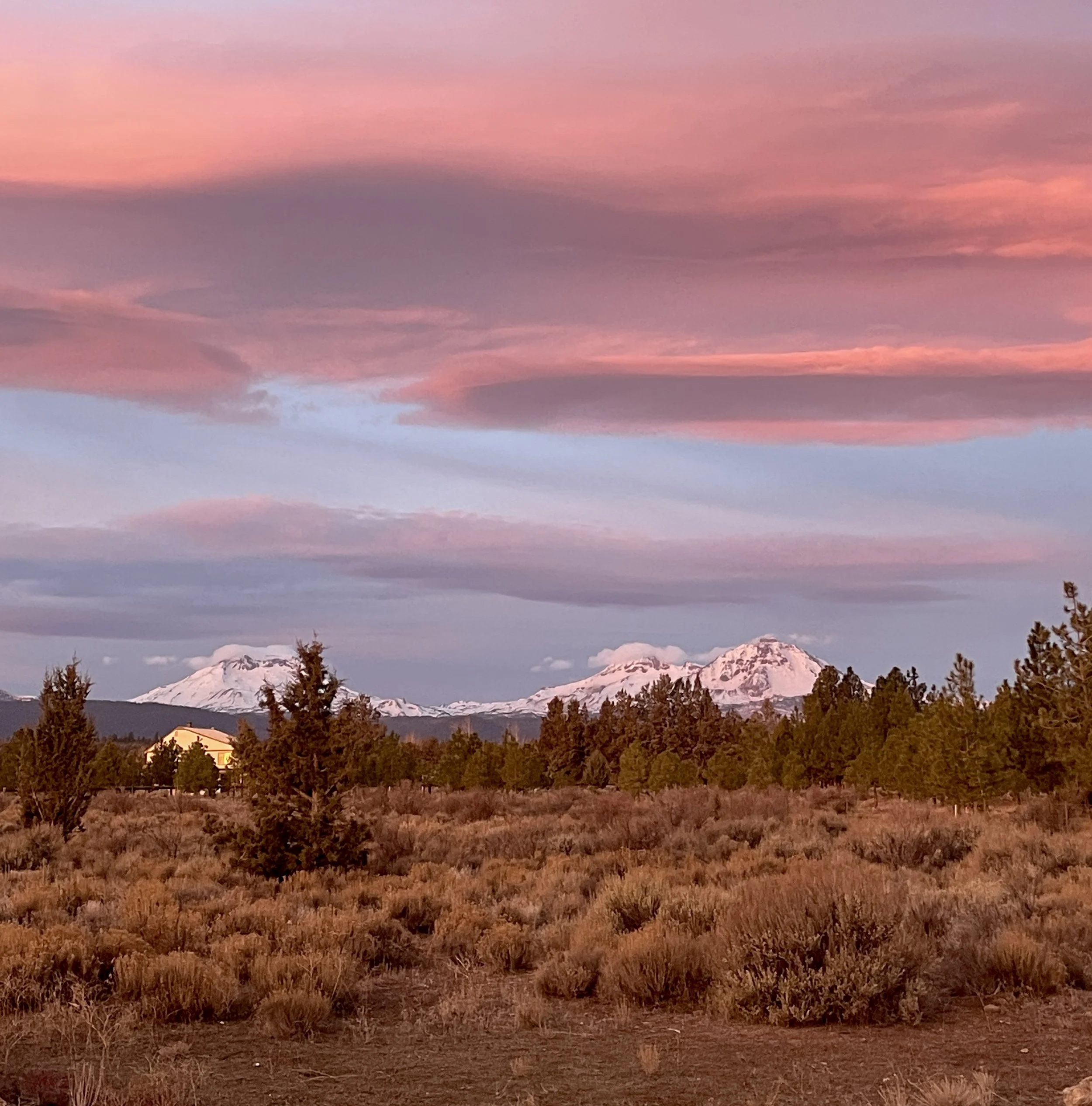 Early morning pink and purple sunrise from the front yard of Six Mountain View. 