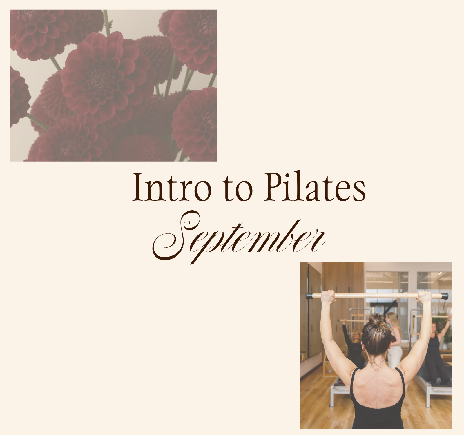 Intro to Pilates Program