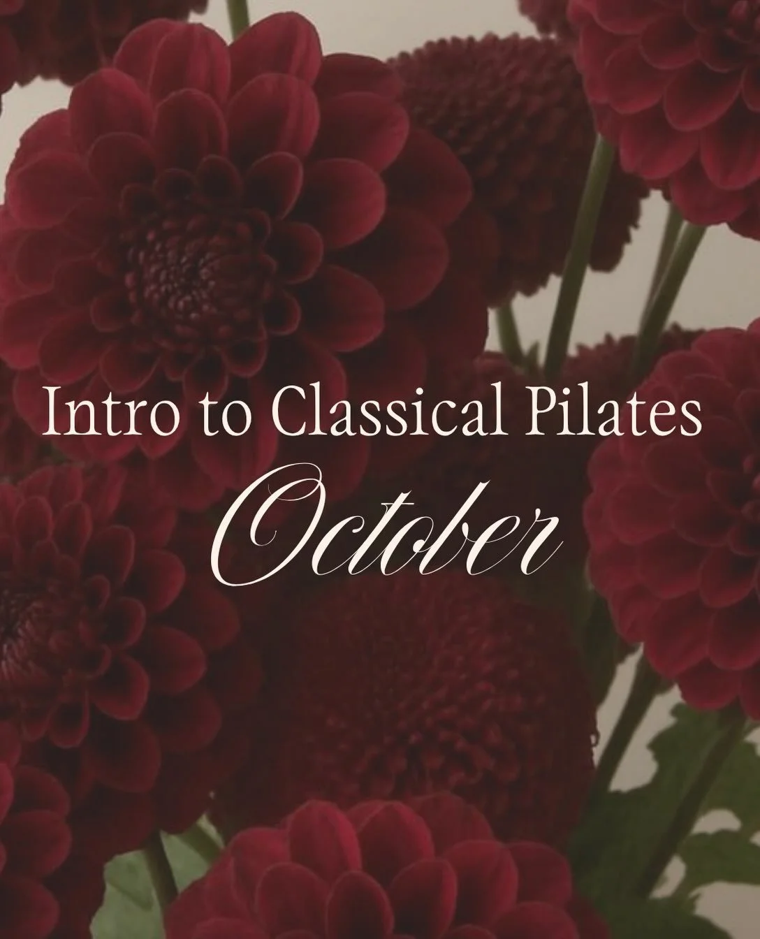 We are doing another round! 

New to Pilates? Start here.

Pilates can feel intimidating when you&rsquo;re brand new. There&rsquo;s new equipment to learn and exercises you&rsquo;ve never heard of. 

That&rsquo;s exactly why we created our Intro to C