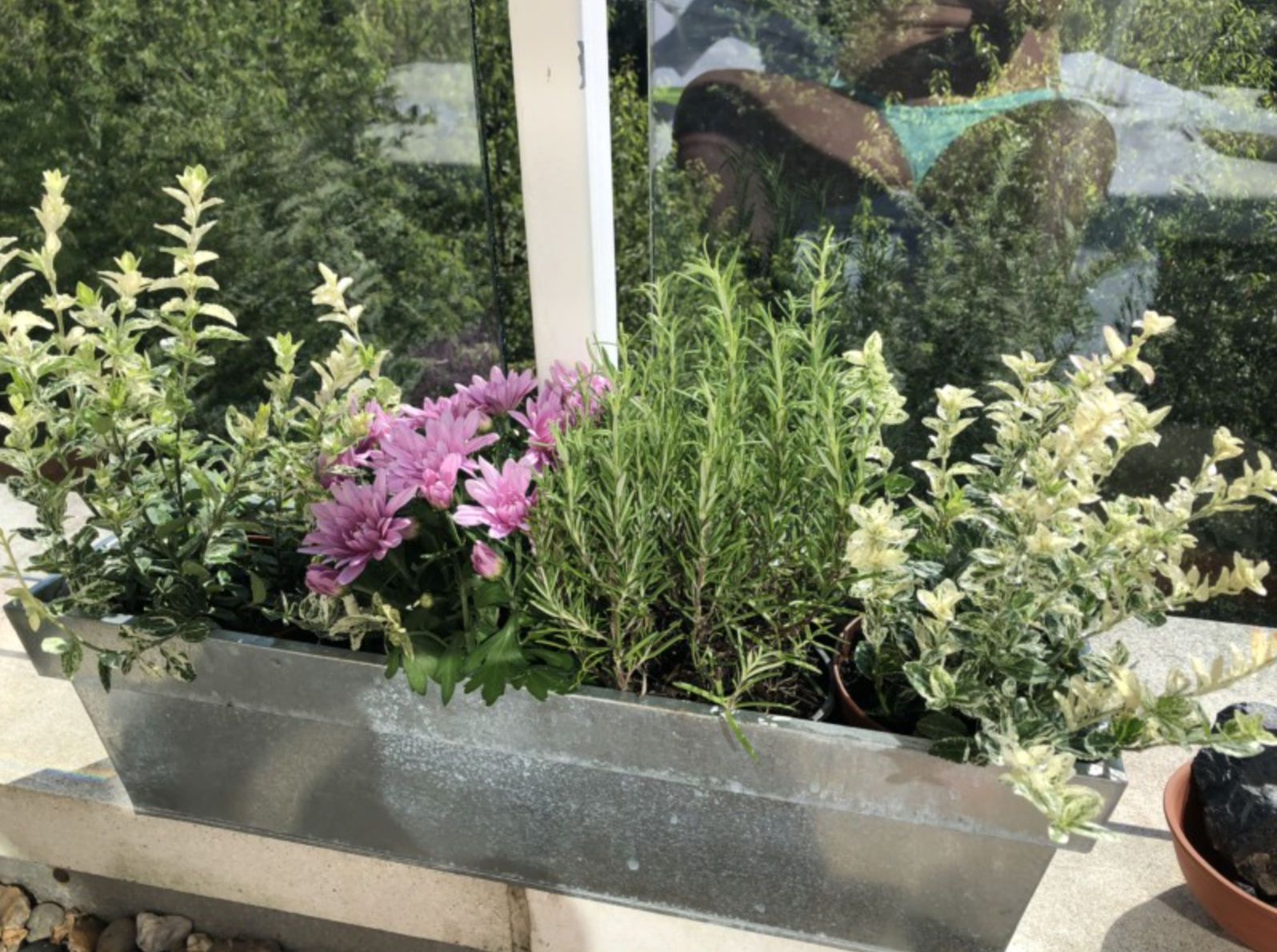 A Litle Honesty and Some Herbs!