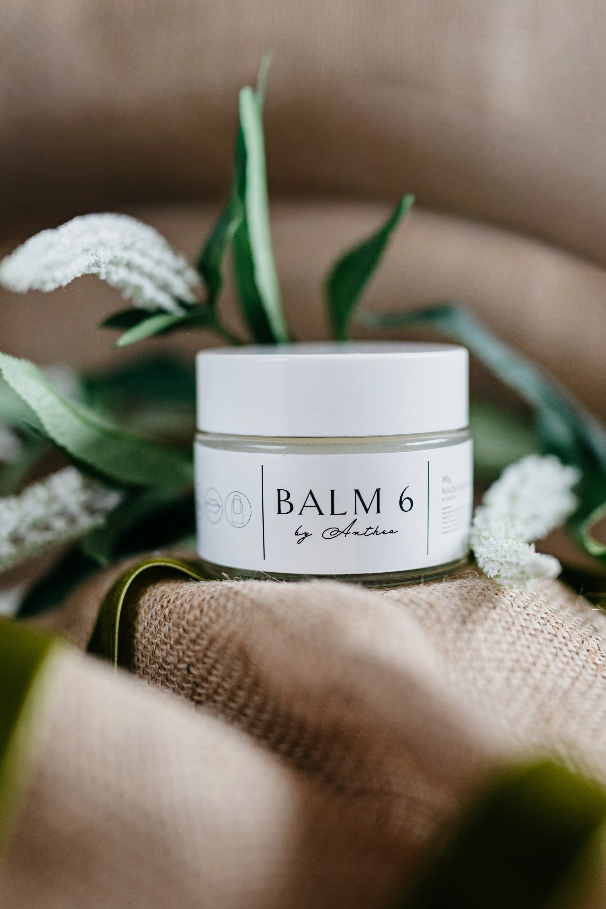 BALM 6