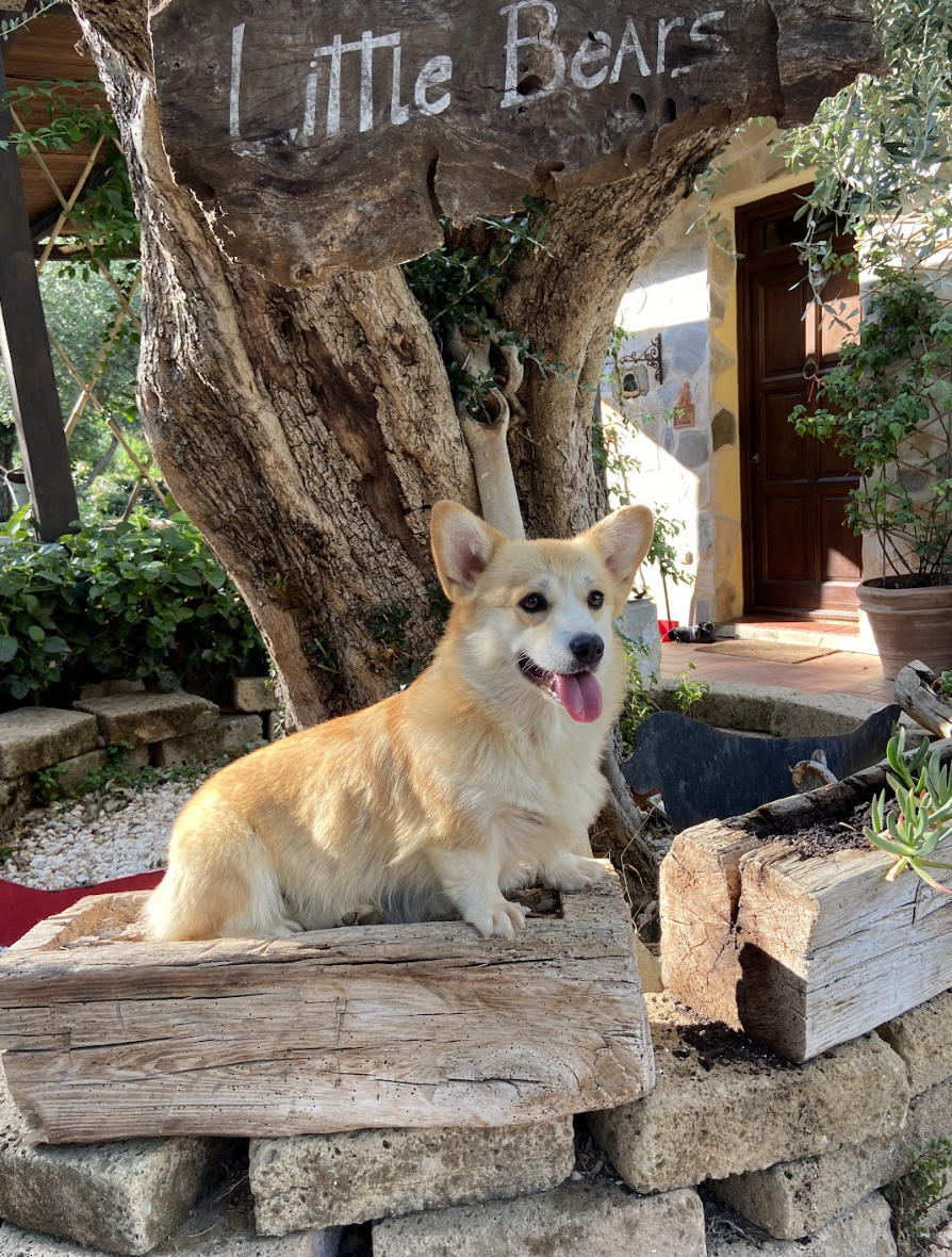 Schermata 2023-08-26 alle 11.05.31.png