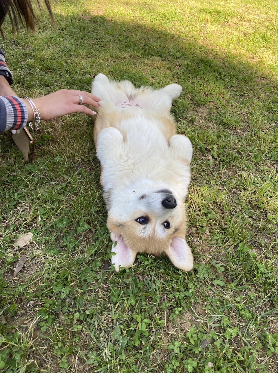 Schermata 2023-08-26 alle 11.08.23.png