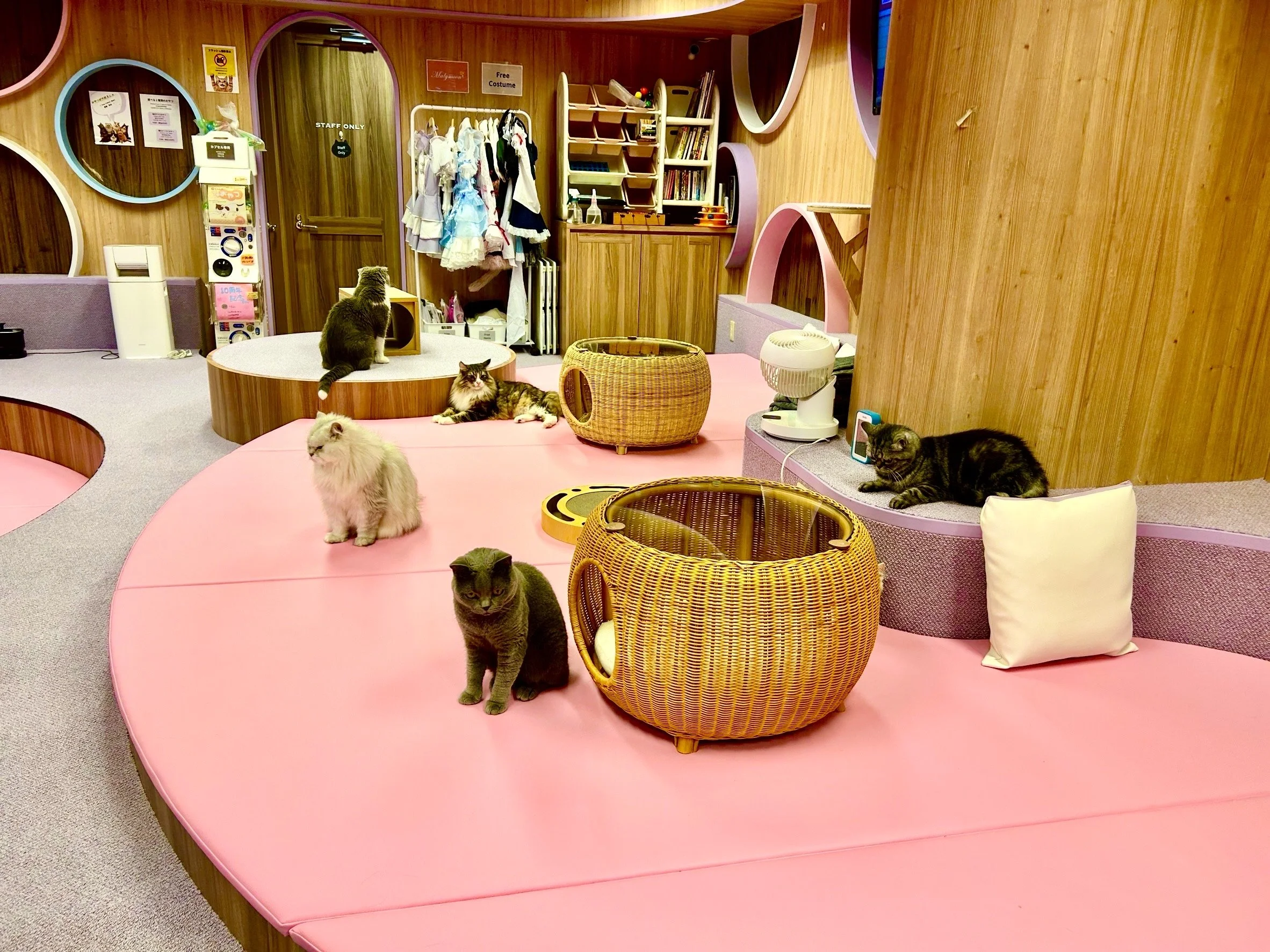 店内２.jpg