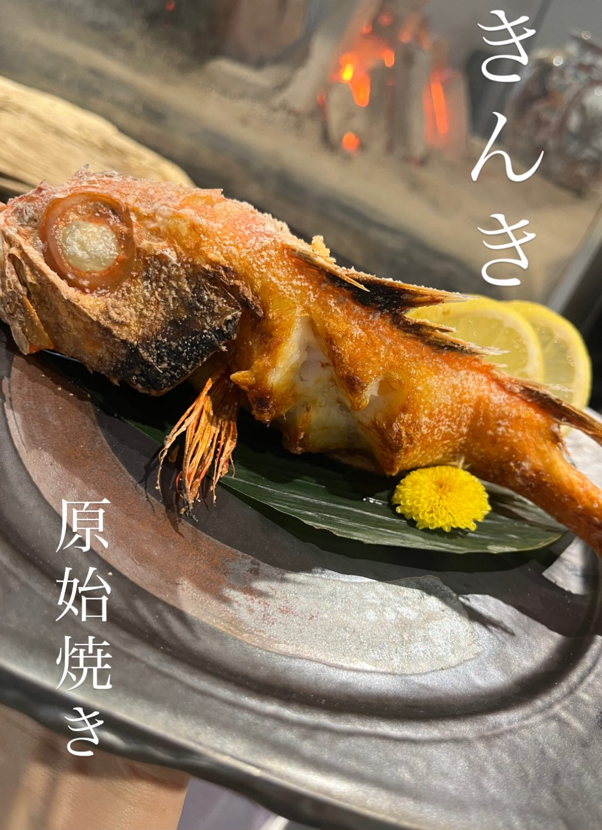 きんき.png