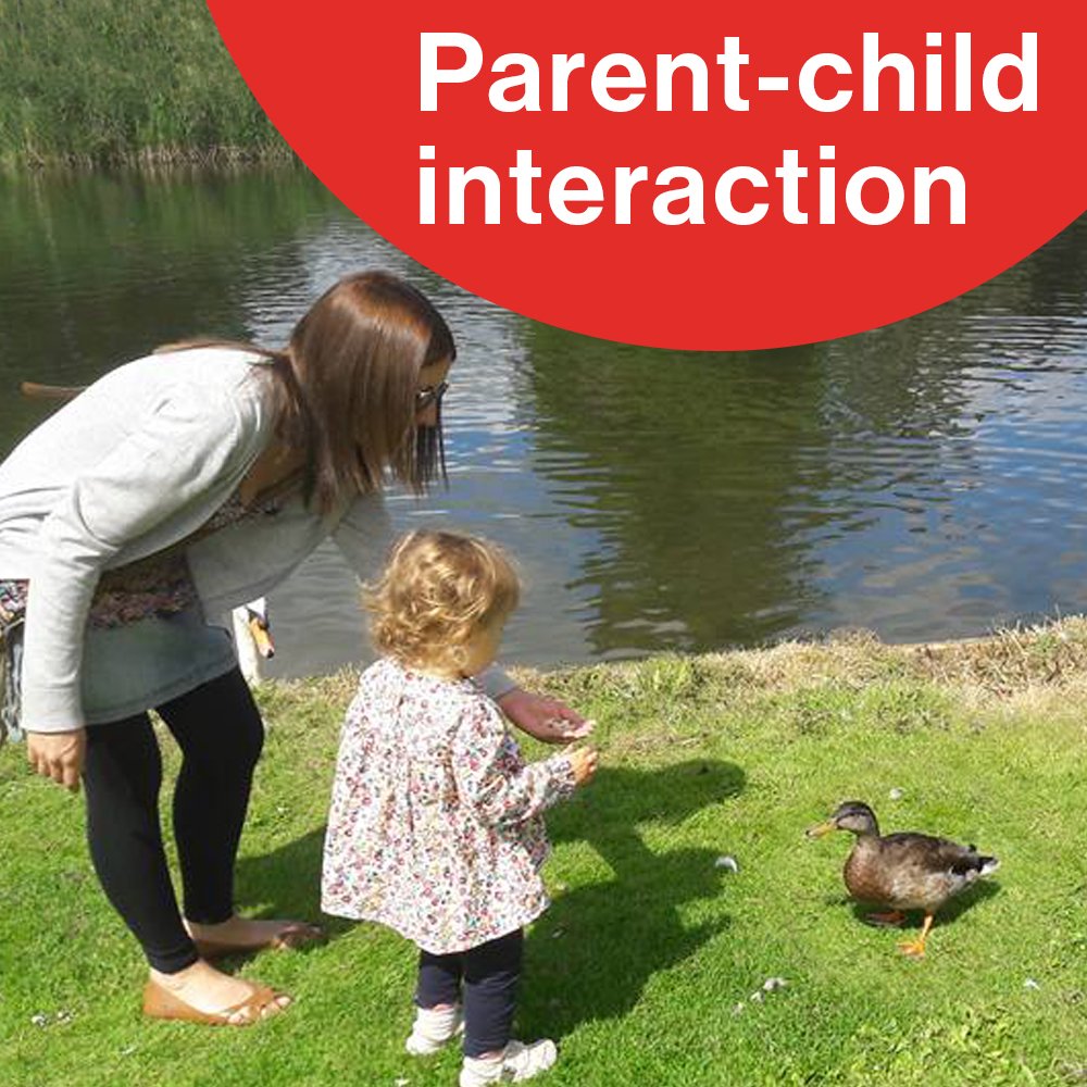 PAFT PARENT CHILD INTERACTION.jpg