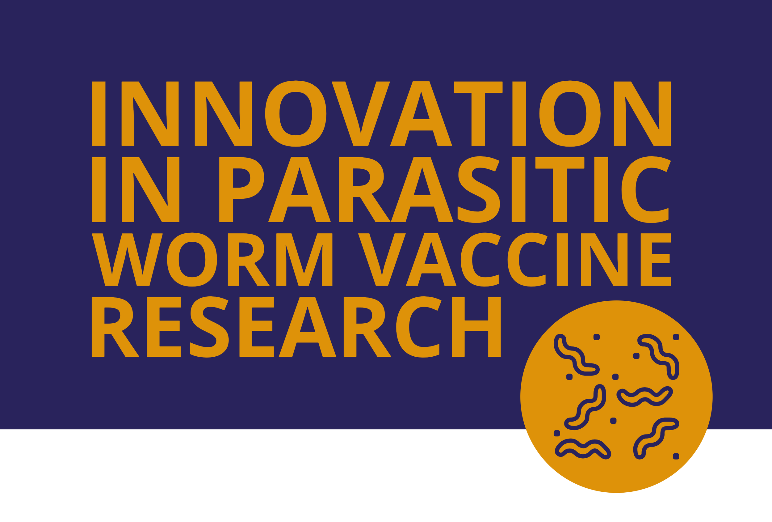 Innovation in parasitic worm vaccine research: platforms used in WORMVACS2.0