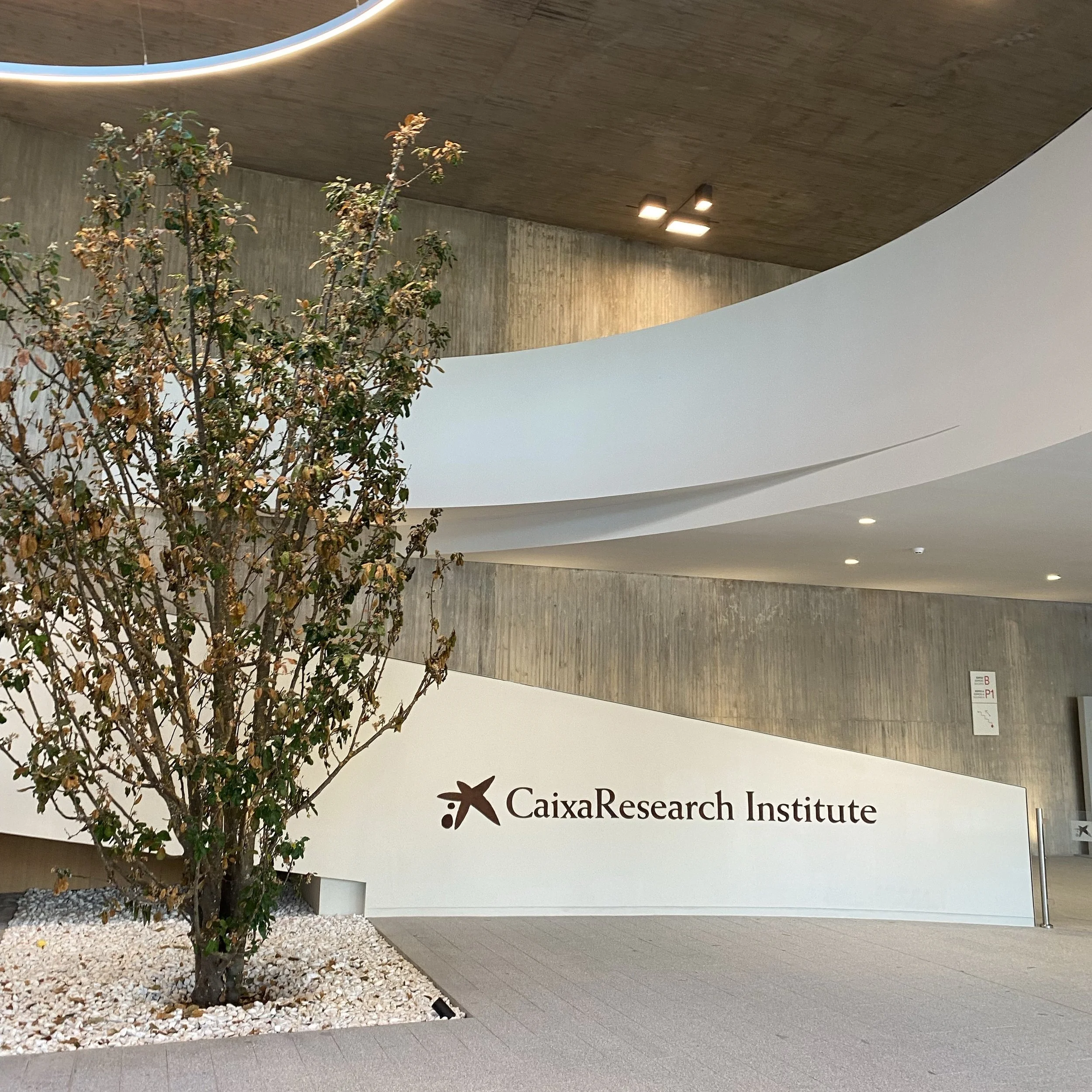 Caixa Institute II.jpg