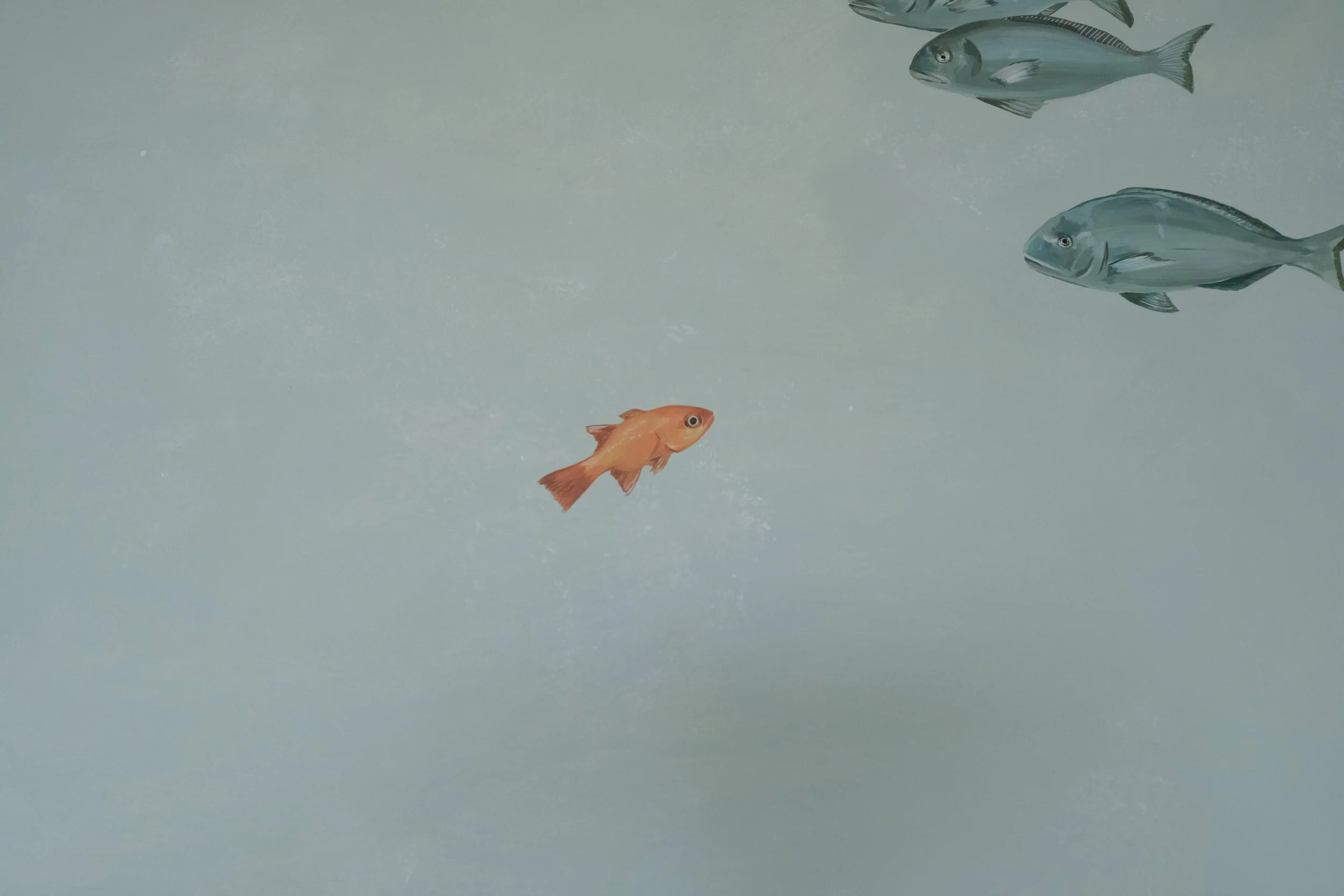 DSCF0143.JPG