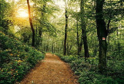 What is Silent Walking?