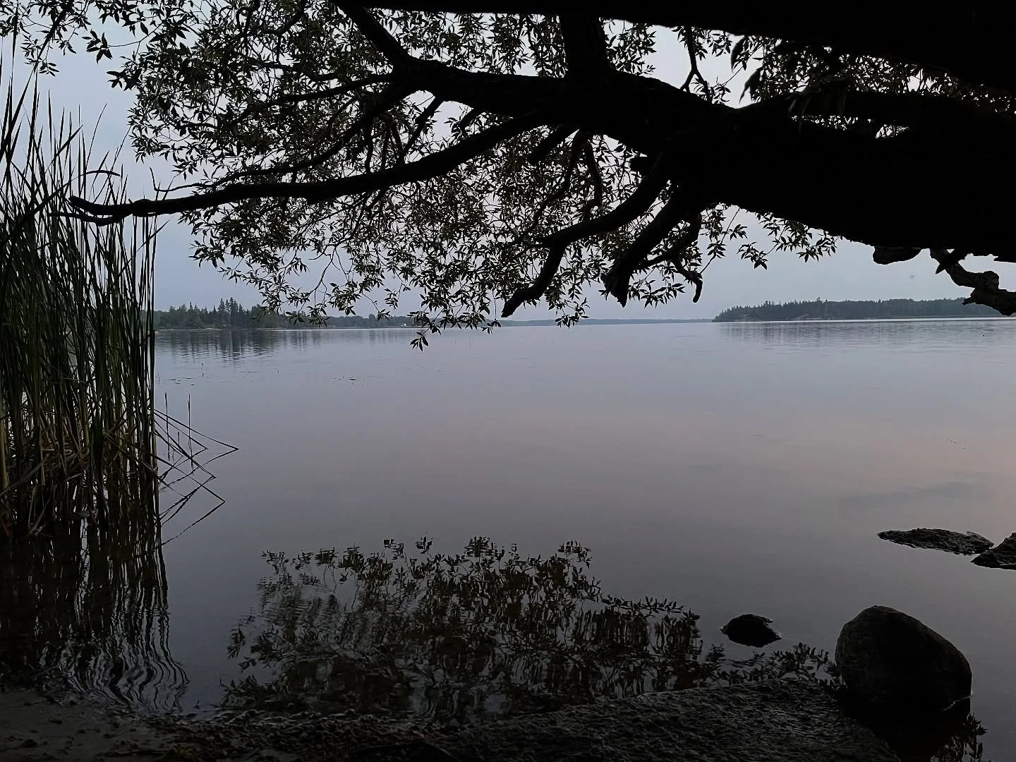 Nothing beats the secret spots. 

We were out camping, my girlfriend and I, when we wandered through a campsite and down a path on the other side. The path went into some bush between trees and a ditch, covered by leaves and branches and all sides. A