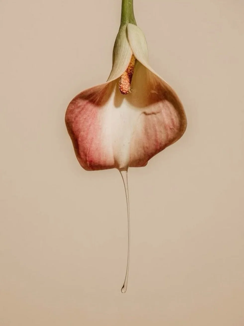 Quan comences a pensar en fertilitat, sovint el primer que apareix s&oacute;n dates, ovulaci&oacute;, calendaris i comptes enrere.

I potser ja sents certa pressi&oacute;&hellip; abans fins i tot de tenir clar si &eacute;s el moment.

Com a comares, 