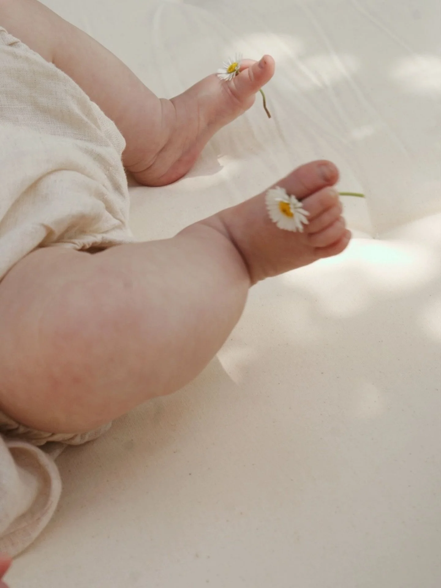 Quan neix un nad&oacute;, tot sembla molt fr&agrave;gil.
Per&ograve; els nadons s&oacute;n molt m&eacute;s savis del que imaginem.

Saben buscar el pit.
Saben quan necessiten contacte.
Saben quan volen dormir.

🌿 Els primers mesos s&oacute;n un temp