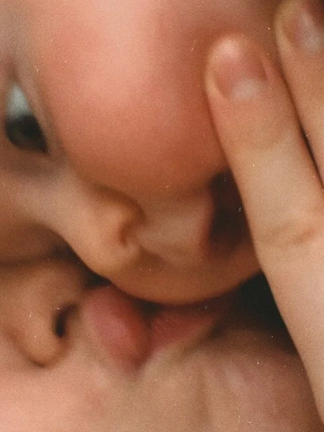 El postpart &eacute;s un dels moments m&eacute;s transformadors de la vida d&rsquo;una dona.

No nom&eacute;s neix un nad&oacute;.
Tamb&eacute; neix una mare.

I aquest naixement tamb&eacute; necessita temps.

🌿 El cos es recupera.
🌿 Les emocions e