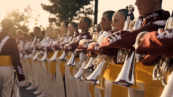 The cadets <span>director | DP | editor</span>