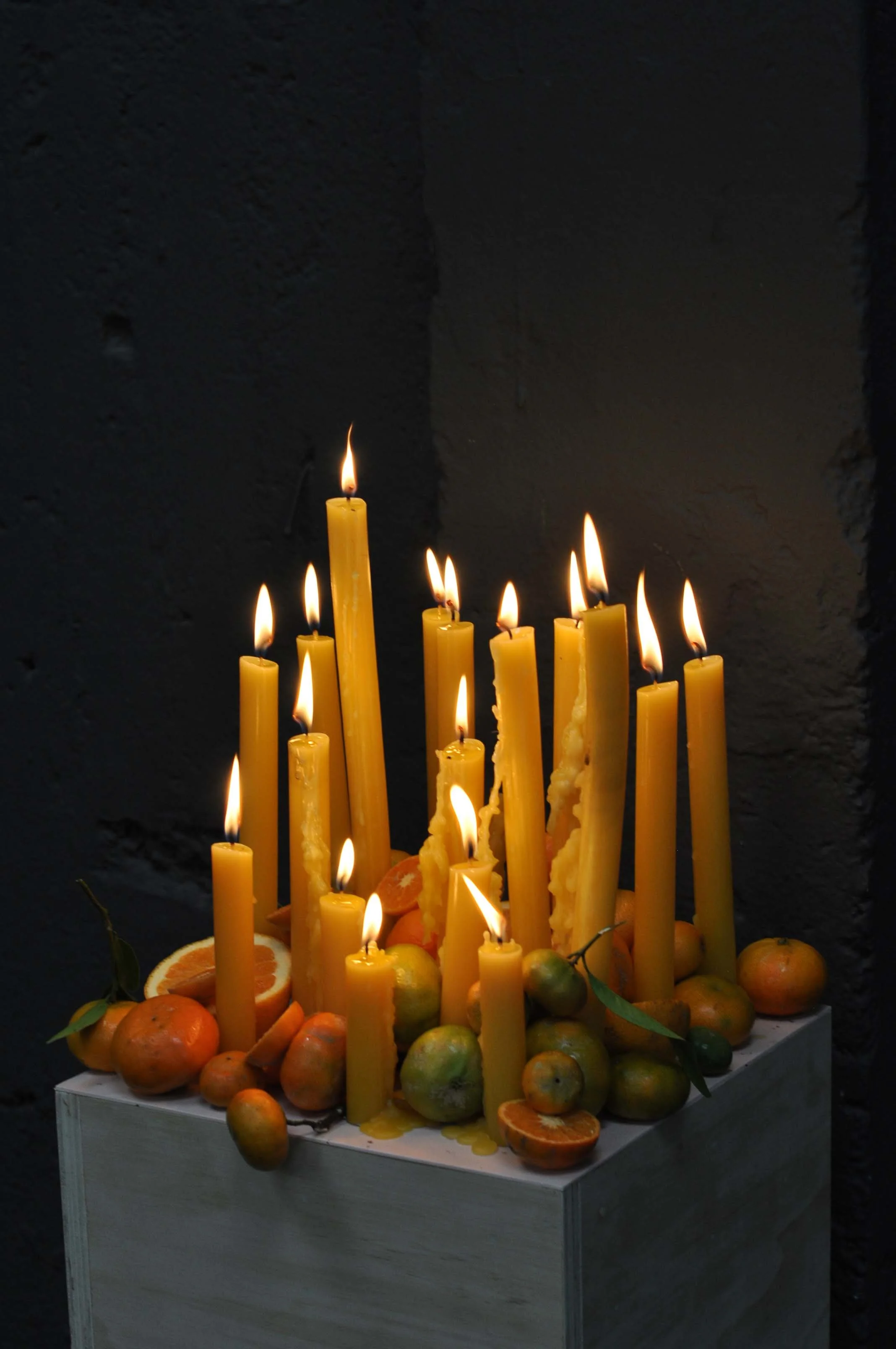 Candlelit display of tall yellow candles surrounded by oranges, grapefruits, and lemons, set on a white platform against a dark background.