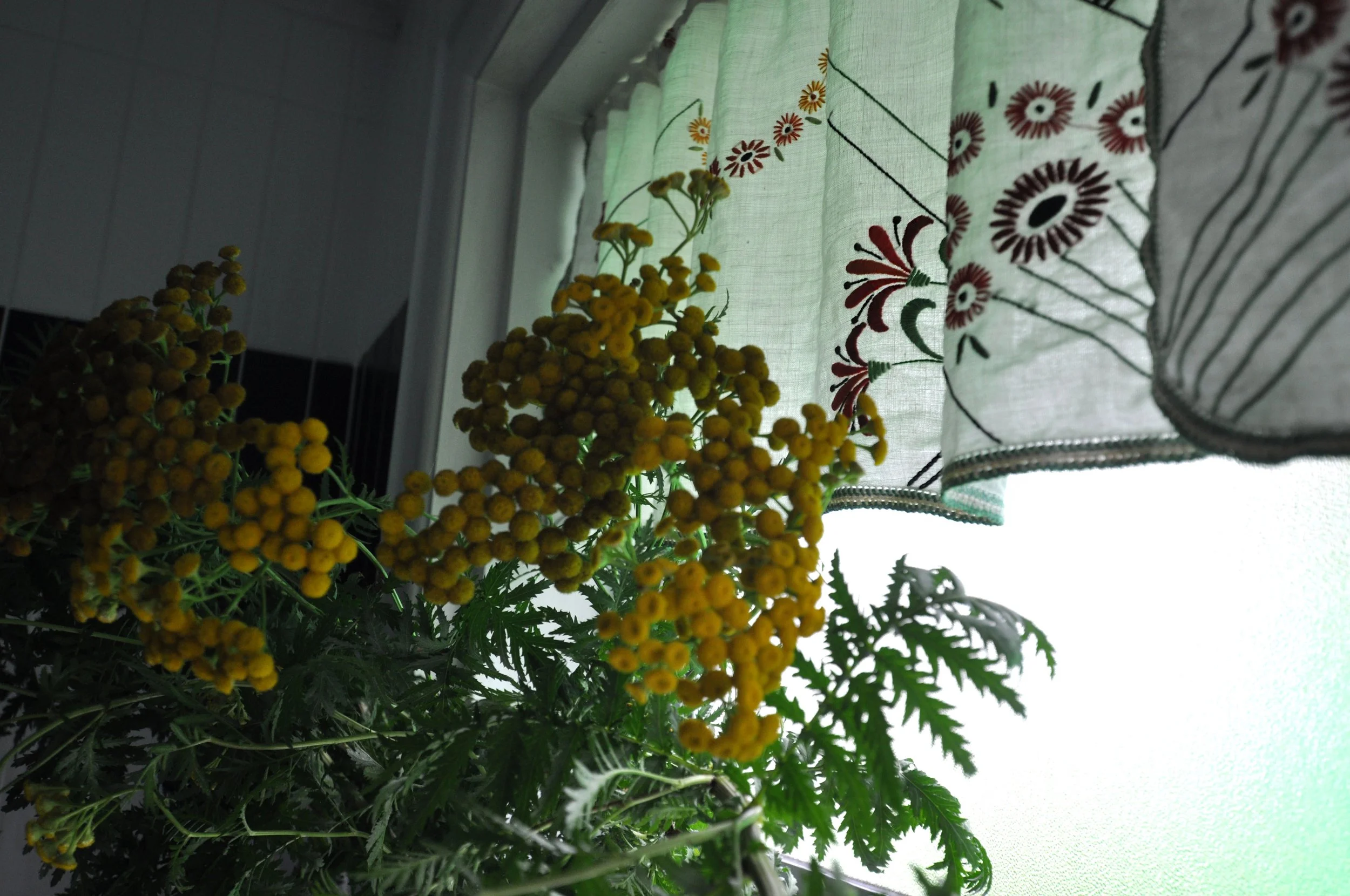 Yellow flowers in front of embroidered curtains with floral patterns hanging by a window.