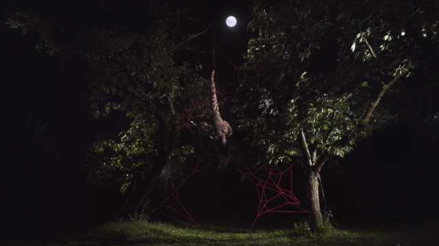 MADANii - Stupiid Empathy (Music Video)