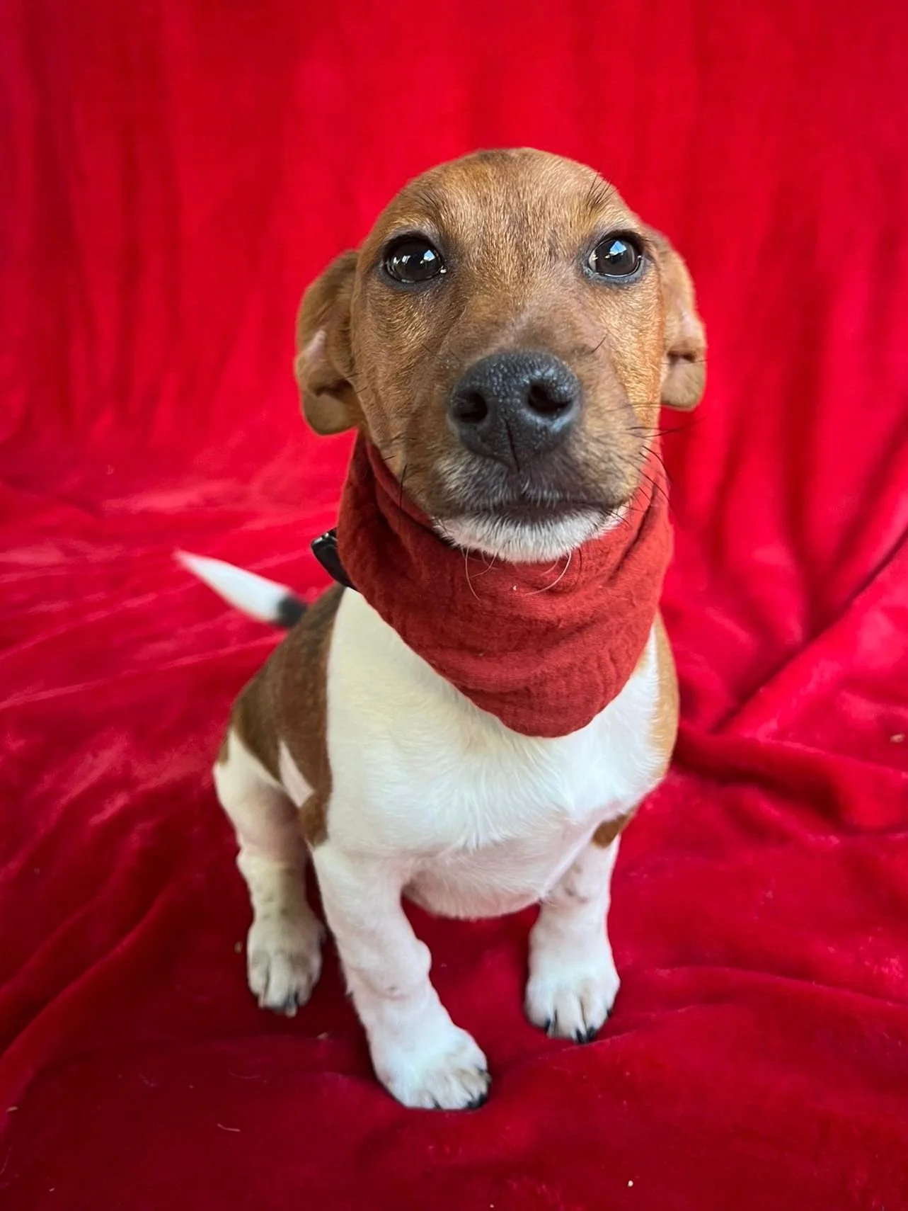 WhatsApp Image 2026-01-01 at 11.31.52 (1).jpeg