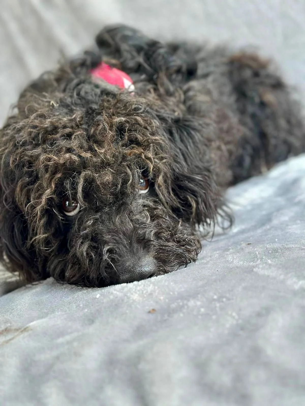 WhatsApp Image 2026-01-20 at 15.53.40 (2).jpeg